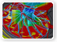 Fluid Flow Simulation