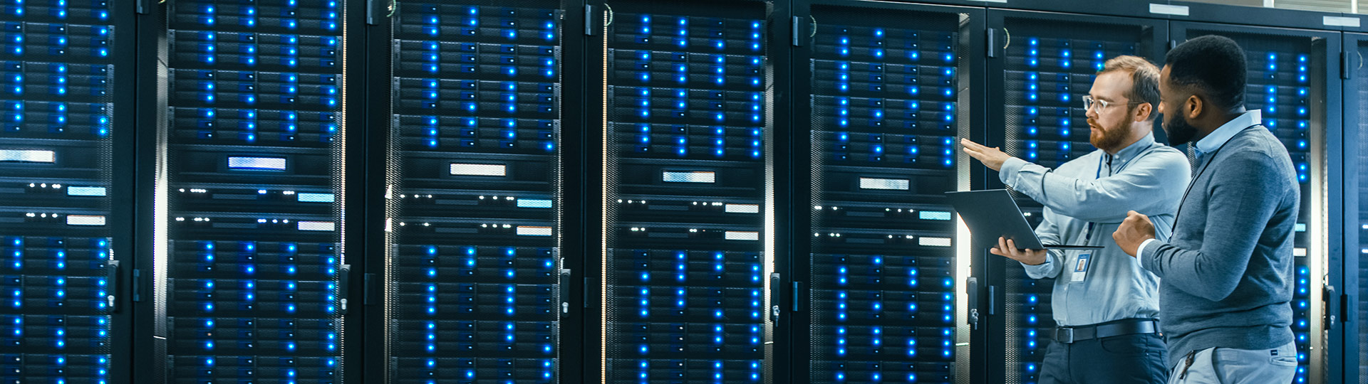 Cloud and On Premise ERP Hosting Options
