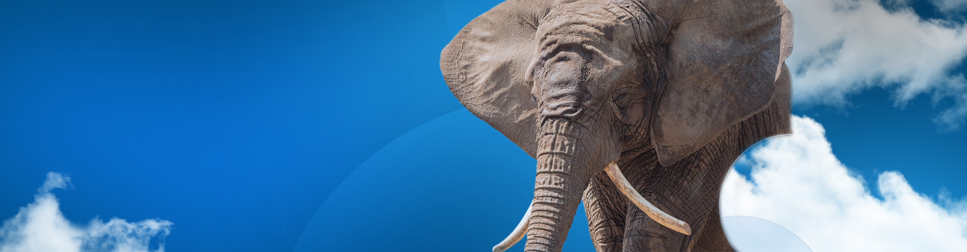Blue sky with Clouds and an elephant > Contact us > SOLIDWORKS