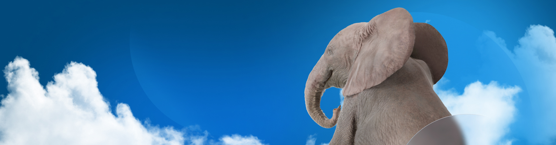 Elephant in blue sky with clouds > Members: Getting Started > SOLIDWORKS®