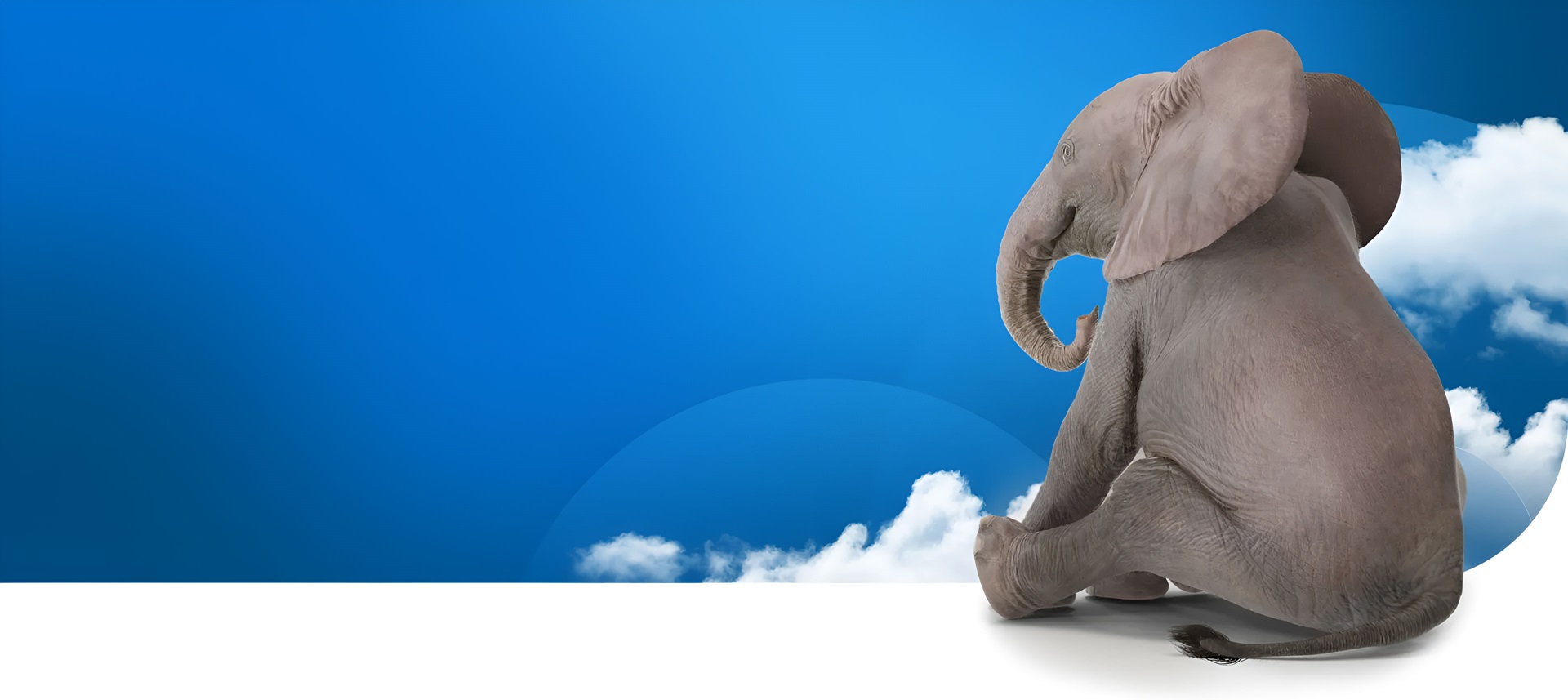 Elephant sitting in the sky - SOLIDWORKS Cloud