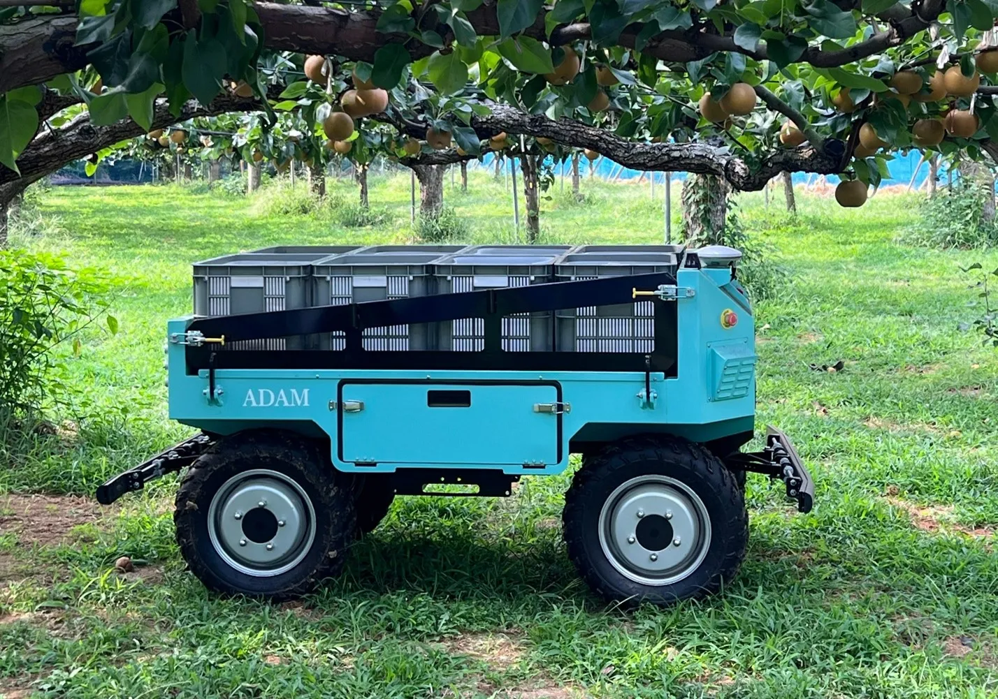 Adam Robot in fields