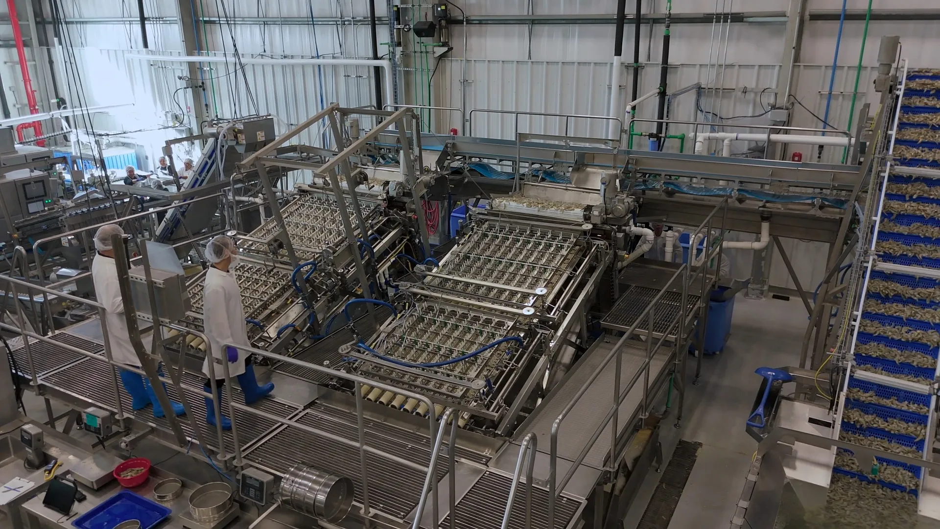 Laitram Machinery Advances Food-Processing Equipment Design