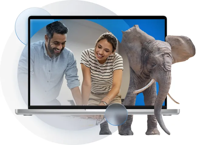 Getting Started with Cloud > Getting Started > Dassault Systèmes®