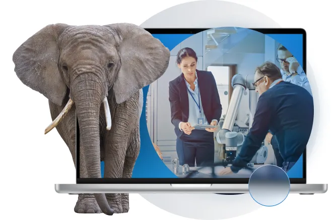 Addressing the Elephant > Manage & Control > Dassault Systèmes®