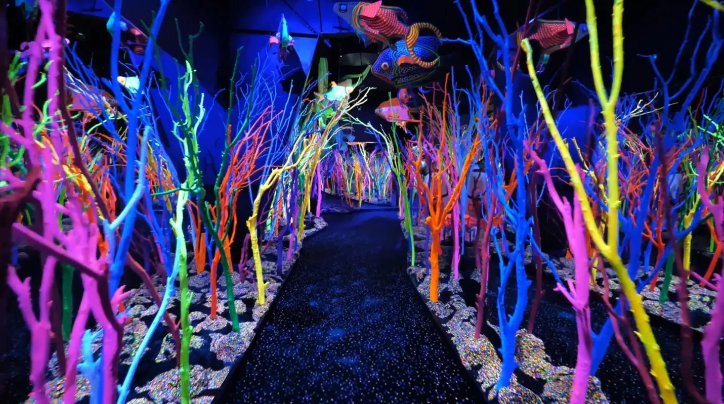 A hiking trail space at one Meow Wolf location