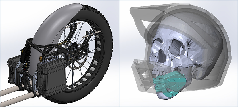 Bowhead renderings