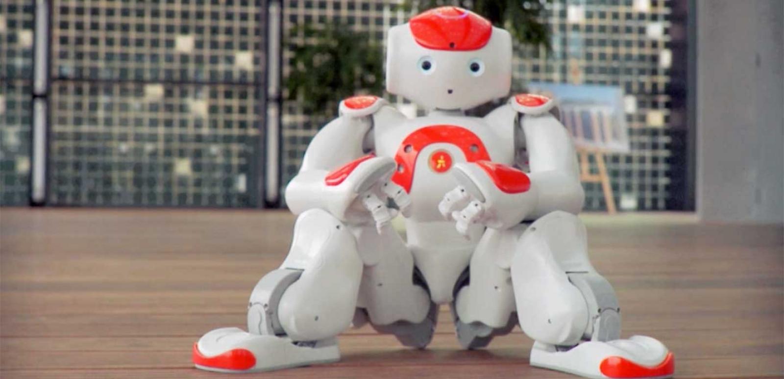 Aldebaran Robotics