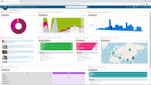 Social Business Analyst