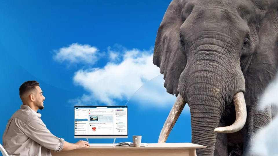Person at desktop computer with elephant standing next to them - SOLIDWORKS cloud services