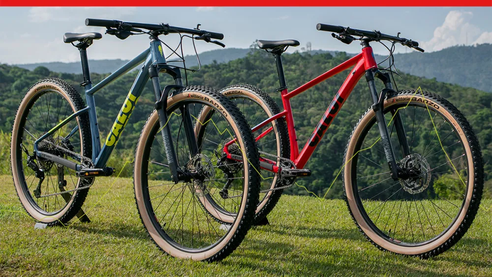 Caloi bikes on grassy area with mountains in distance
