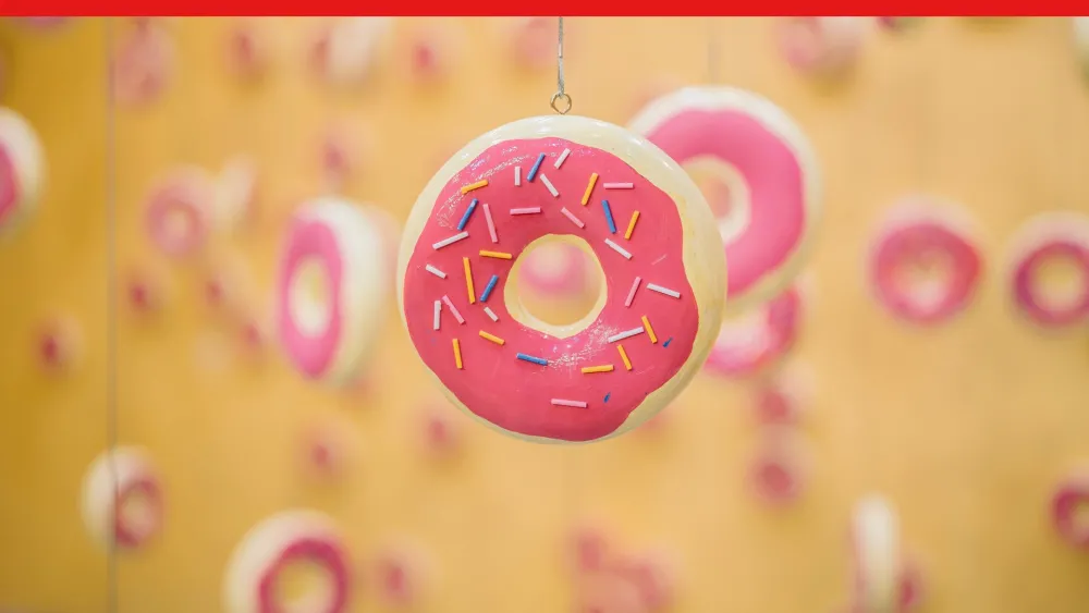 Simulation Explained: Drop Test (with donuts)