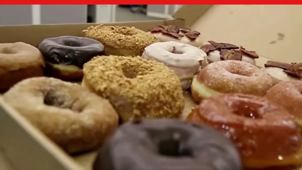 Simulation Explained: Flow (with donuts)