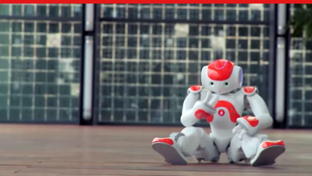 Born to Design: Bringing the Human Element to Robots