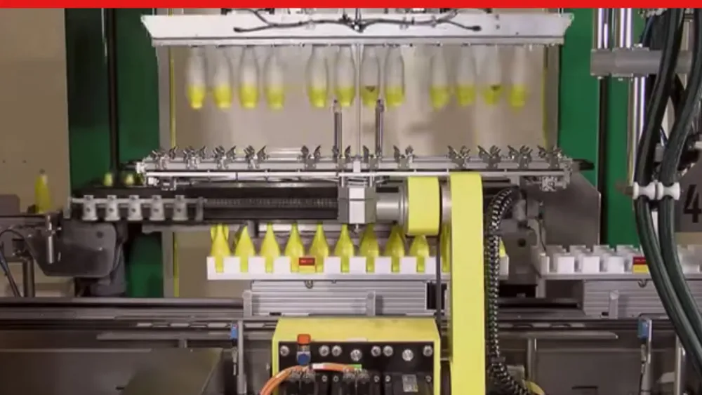 Born to Design: Transforming the Packaging Industry