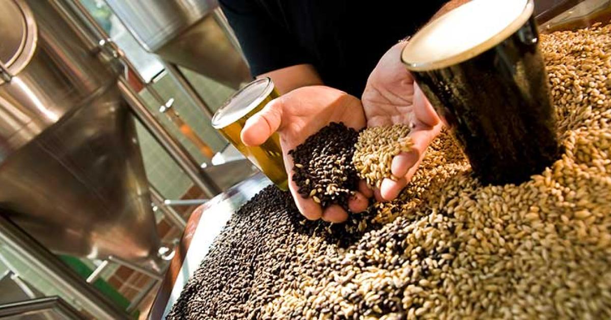 L'influenza dell'oT sull'industria di produzione della birra