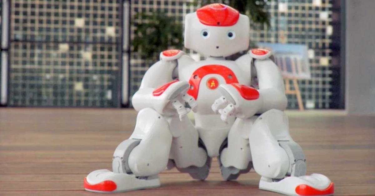 Aldebaran Robotics