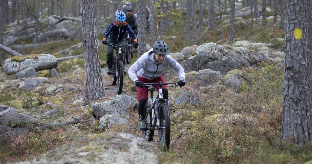 Pässilä Bicycles Slashes Prototyping from 3 Months to 3 Weeks with SOLIDWORKS and 3DEXPERIENCE Works